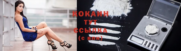 дурь Инта